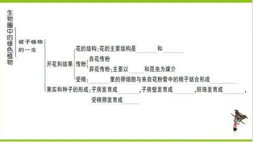 【掌控课堂-创优作业】人教版生物七(上)第三单元 第一、二章总结训练 (课件版)