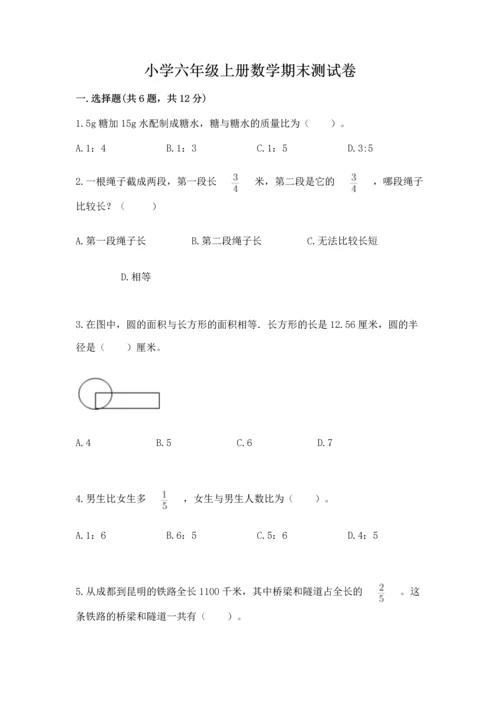 小学六年级上册数学期末测试卷（精选题）word版.docx