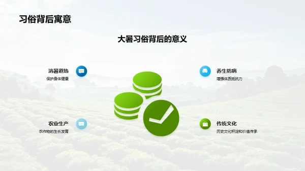 大暑节气解析