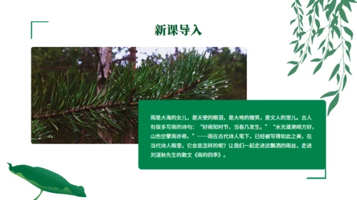 初中语文《雨的四季》公开课教学课件通用PPT模板