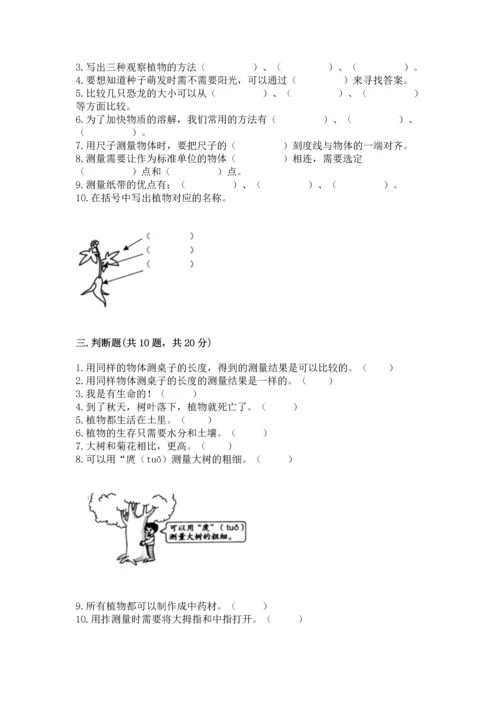 教科版小学一年级上册科学期末测试卷a4版可打印.docx