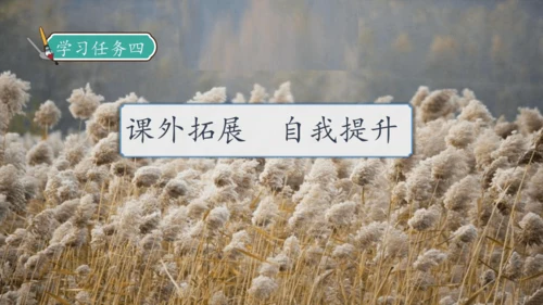 【核心素养】部编版语文四年级下册-21.芦花鞋（课件）
