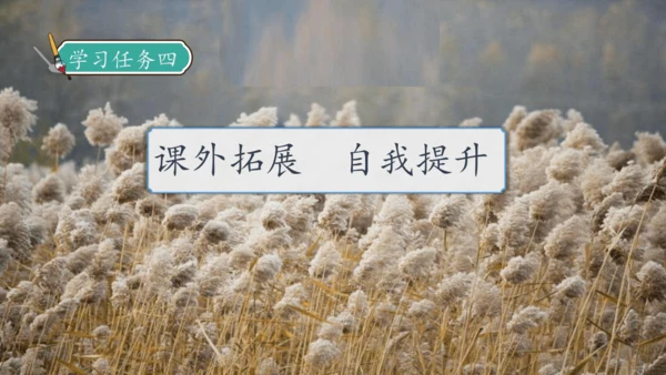 【核心素养】部编版语文四年级下册-21.芦花鞋（课件）