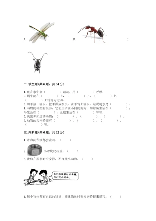 教科版一年级下册科学期末测试卷【名校卷】.docx