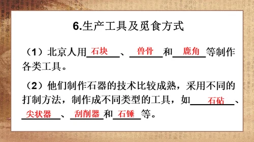 初中历史《人类起源》教学通用PPT课件