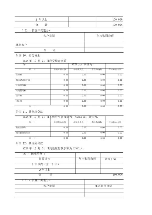 审计报告会计报的表附注说明新