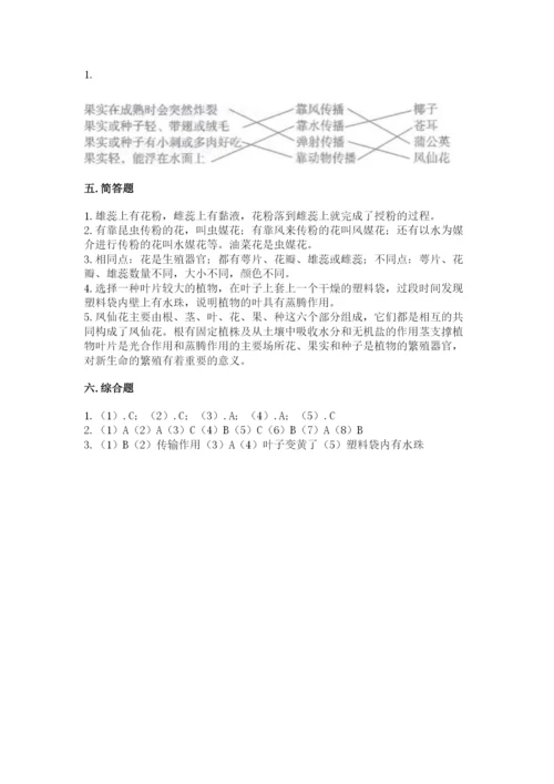 科学四年级下册第一单元植物的生长变化测试卷及参考答案（考试直接用）.docx