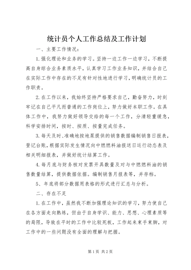 统计员个人工作总结及工作计划.docx