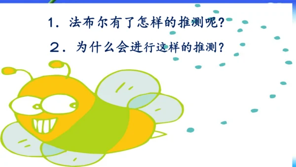 14《蜜蜂》课件