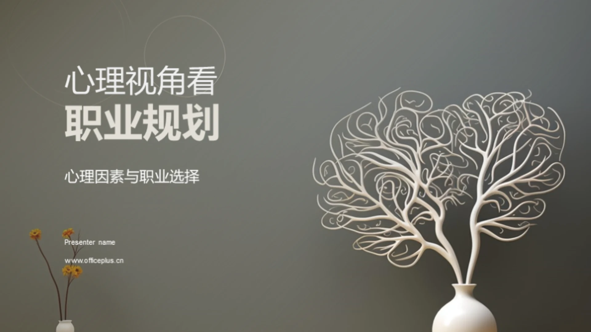 心理视角看职业规划