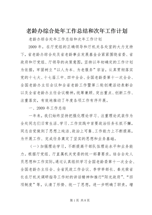 老龄办综合处年工作总结和次年工作计划 (2).docx