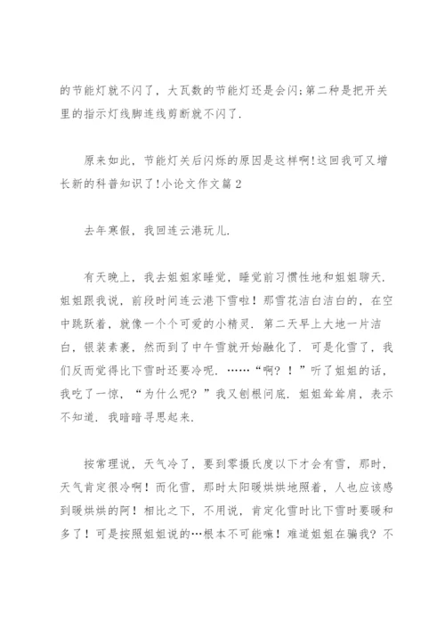 实用的小论文作文锦集六篇.docx