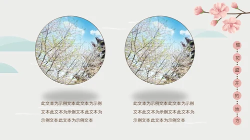 岛国之旅浪漫樱花季通用PPT模板