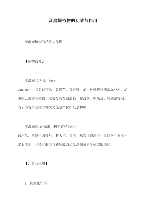 漾濞槭植物的功效与作用