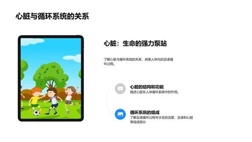 人体器官系统讲解