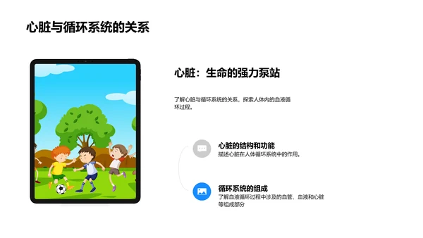 人体器官系统讲解