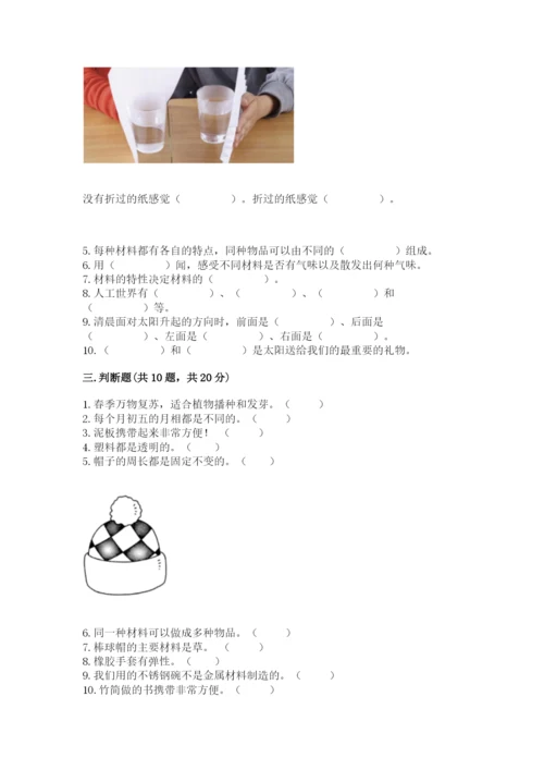 教科版科学二年级上册期末考试试卷带答案（最新）.docx