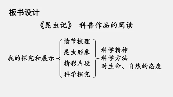 八年级上册语文第五单元 名著导读 《昆虫记》 课件