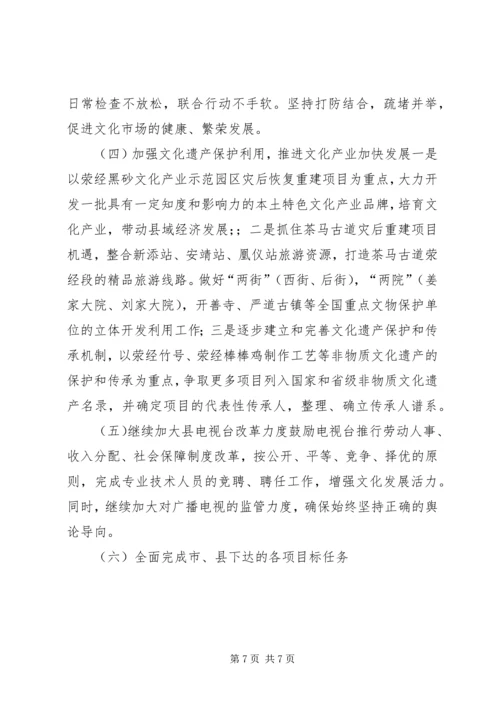 乡镇文新广局上半年工作总结及下半年工作安排.docx