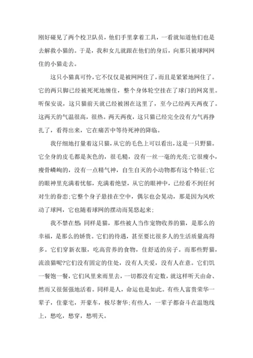 有关家庭教育心得体会模板合集8篇.docx