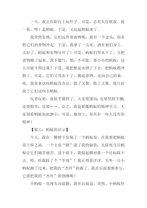 蚂蚁的启示作文300字.docx