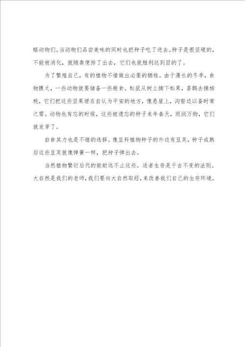 种子的旅行小学生说明文800字