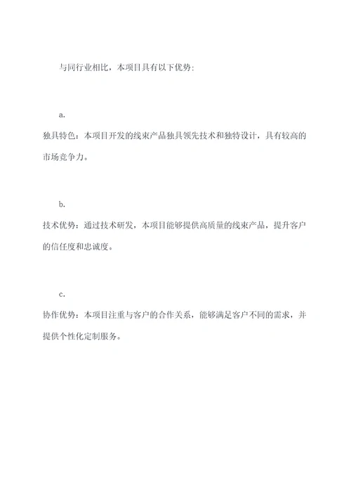 线束项目计划书