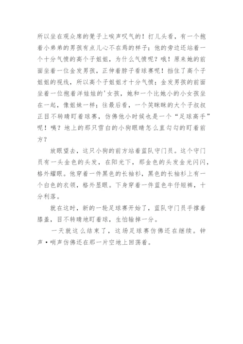 “我与足球的故事”征文.docx