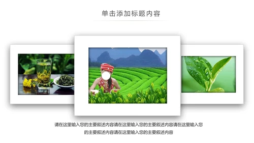 清新绿茶红茶茶叶茶厂茶文化茶道春茶PPT