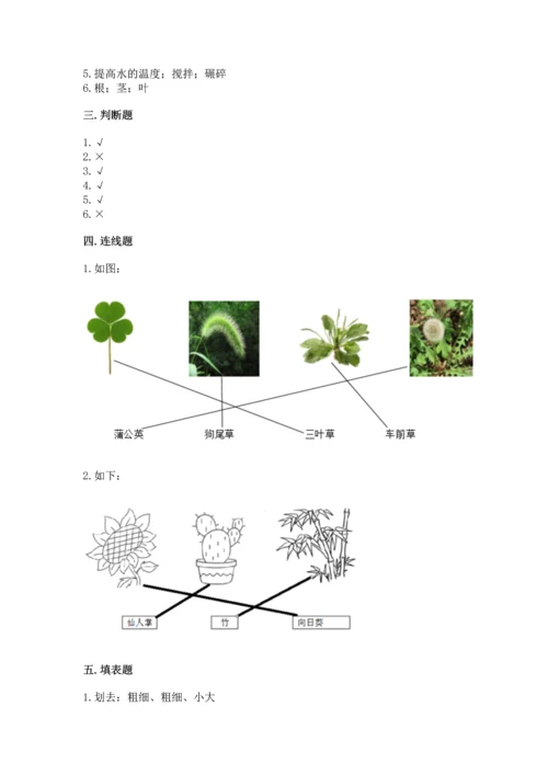 教科版科学一年级上册第一单元《植物》测试卷（精品）.docx