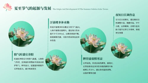 绿色中国风夏至节气PPT模板