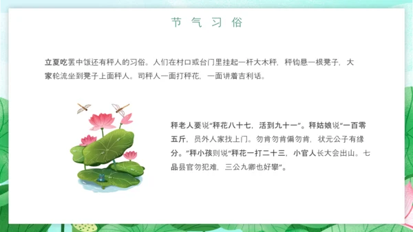 立夏习俗文化荷花池避暑PPT模板