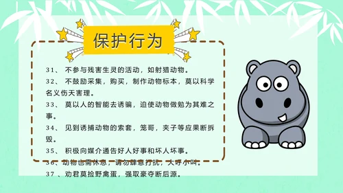 大熊猫国际野生动物保护日PPT模板