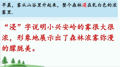 20.美丽的小兴安岭   课件