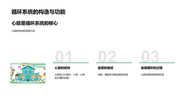 解剖学教学提升PPT模板