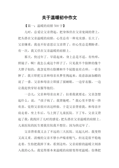 关于温暖初中作文-6.docx