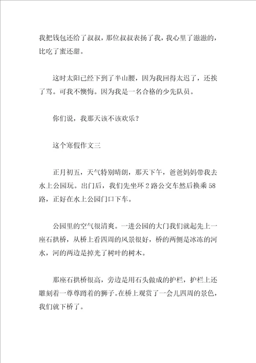 这个寒假作文300字