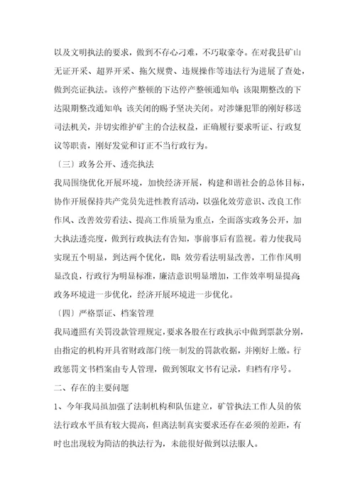 县矿管局行政执法情况自查报告