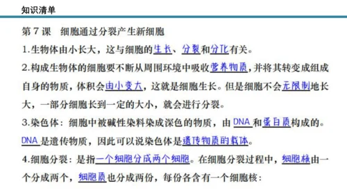 人教版生物七年级上册第一单元《生物与细胞》单元复习课件(共53张PPT)