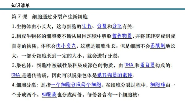 人教版生物七年级上册第一单元《生物与细胞》单元复习课件(共53张PPT)