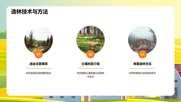 绿色插画林业安全教育培训课件PPT模板