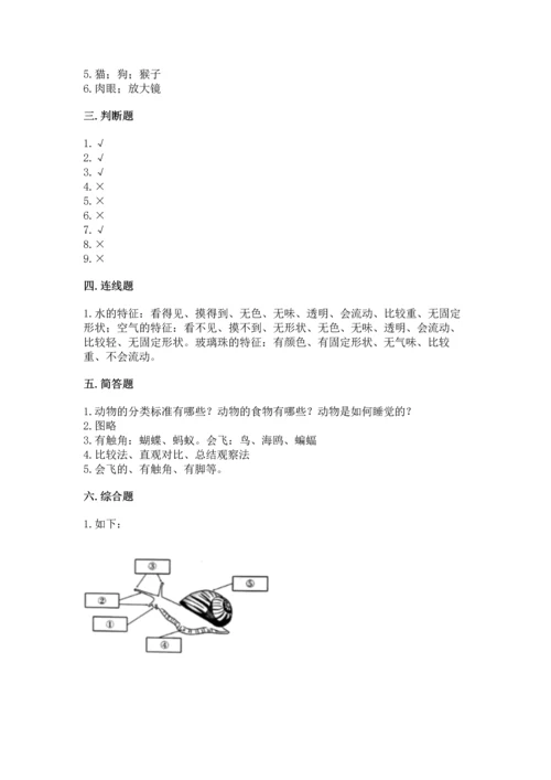 教科版一年级下册科学期末测试卷可打印.docx