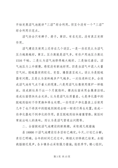 副县长在沼畜现场会发言材料_1.docx