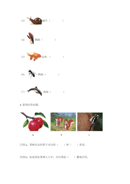 教科版科学二年级上册期末测试卷精品（典优）.docx