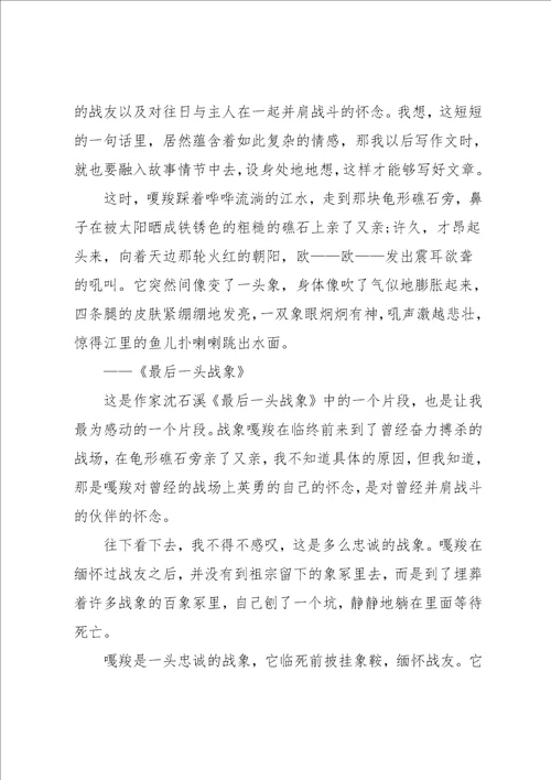 最后一头战象读后感小学作文500字