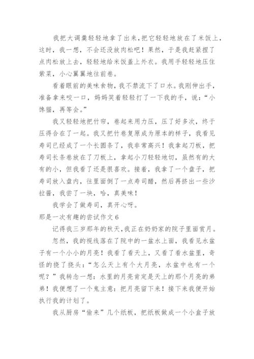 那是一次有趣的尝试作文_5.docx