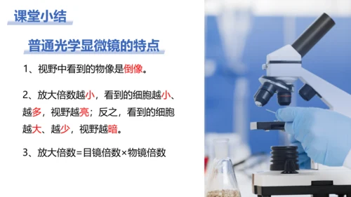 【核心素养目标】2.1.1《练习使用显微镜》课件(共42张PPT)