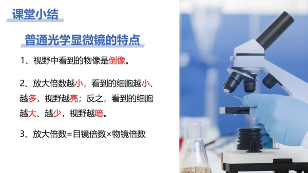 【核心素养目标】2.1.1《练习使用显微镜》课件(共42张PPT)