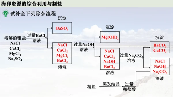 跨学科实践活动8  海洋资源的综合利用与制盐课件(共39张PPT内嵌视频)