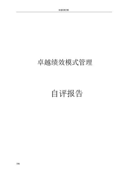 卓越绩效模式区长市长高高质量奖自评报告计划材料图文